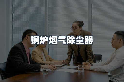 锅炉烟气除尘器