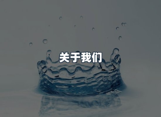 关于我们